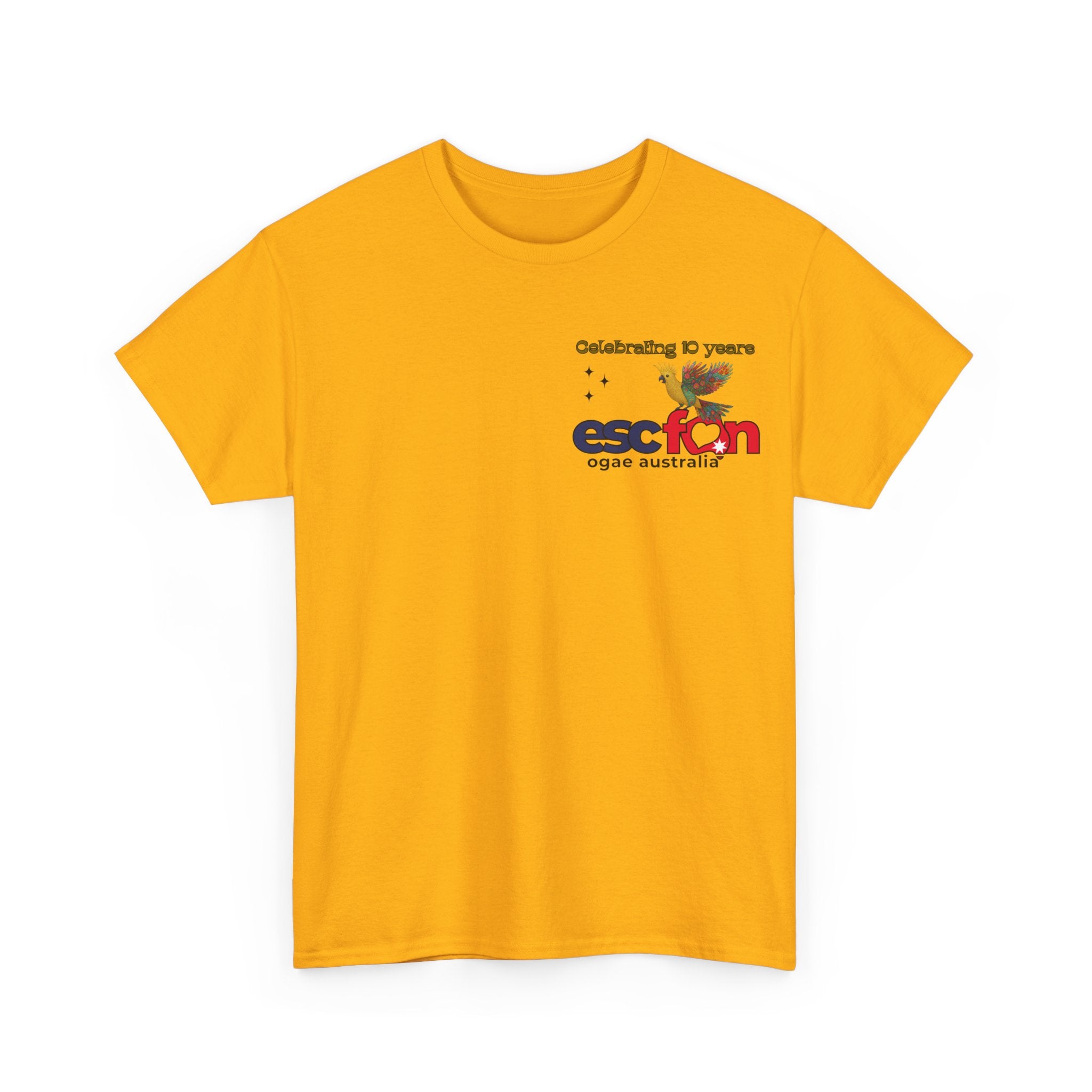 T-Shirt | 10 Year Anniversary - Front & Back Print - Black Logos - Good Evening Europe Good Morning Australia